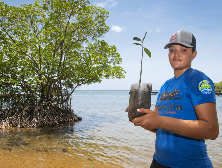 Woman holds baby mangrove wearing a BICA Roatan shirt