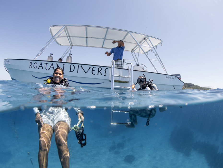 Photo by Roatán Marine Park